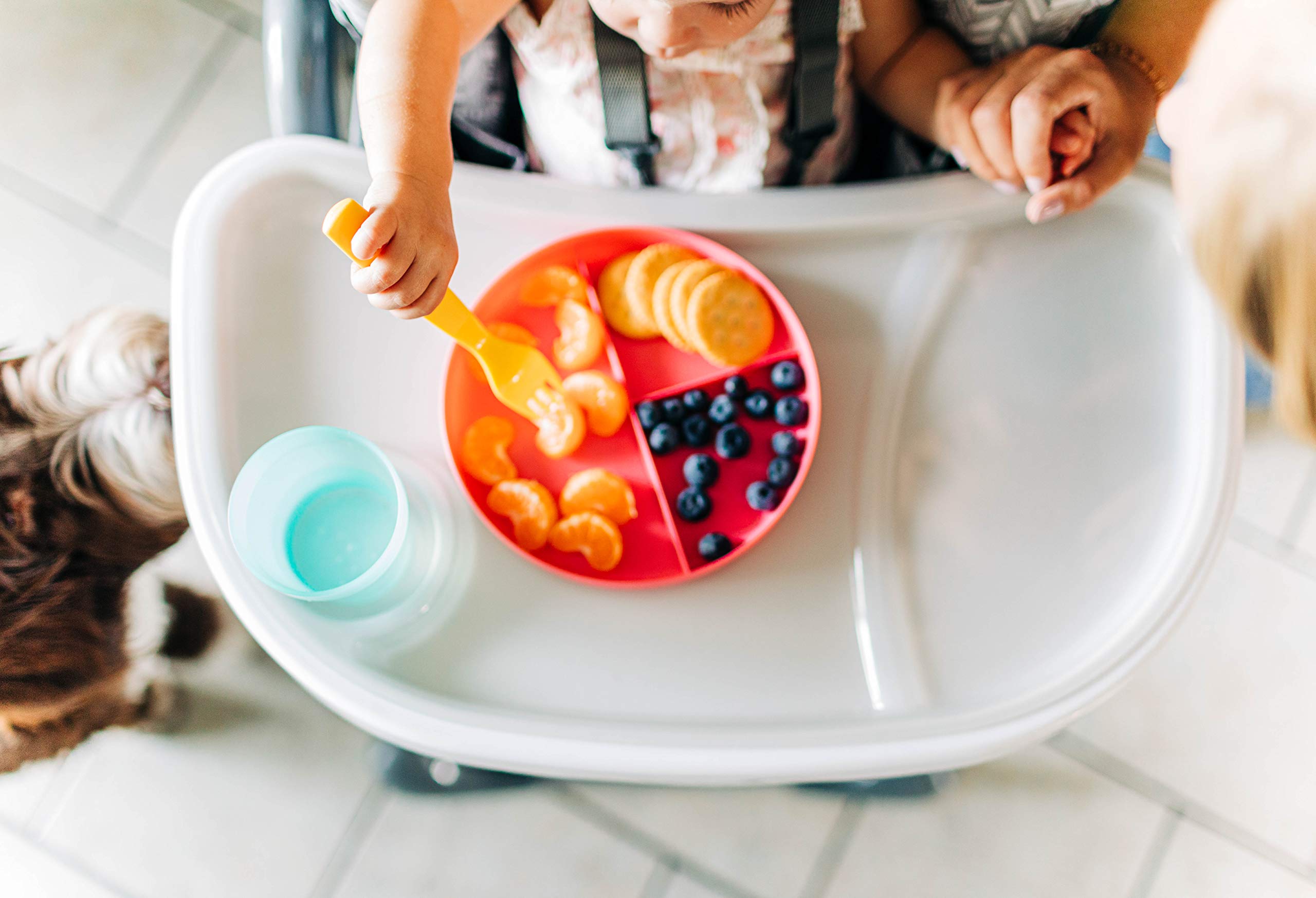 Safety 1st High Chairs for Babies and Toddlers, 3-In-1 Grow and Go with Tray and Adjustable Seat, Birchbark - Image 11